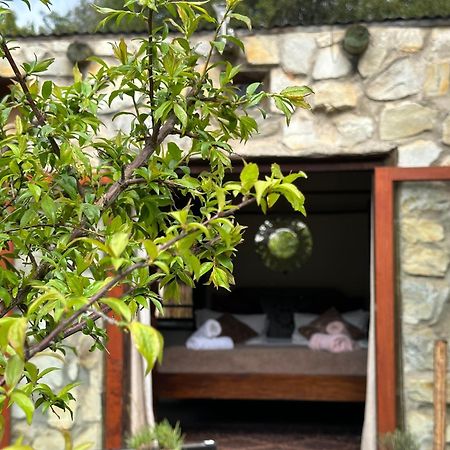 Stormsriver Backpackers Dijembe ستورمزريفير المظهر الخارجي الصورة